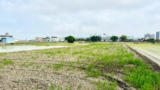 新竹竹北農地-2