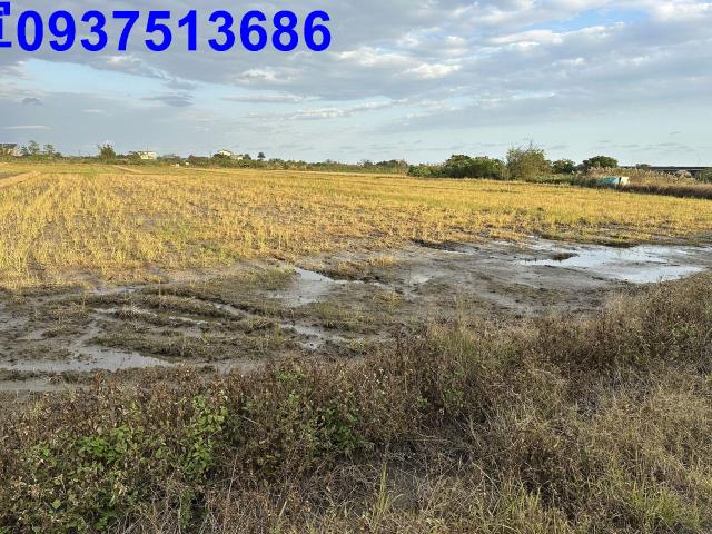 宜蘭壯圍農地-15