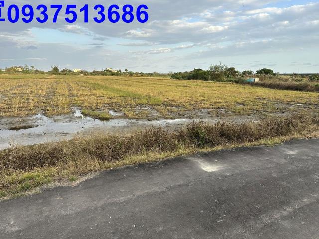 宜蘭壯圍農地-5