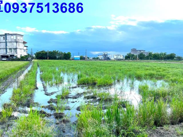 宜蘭壯圍農地-5