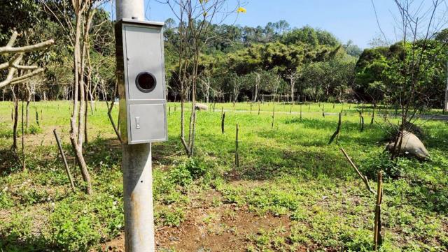 橫山農地-12