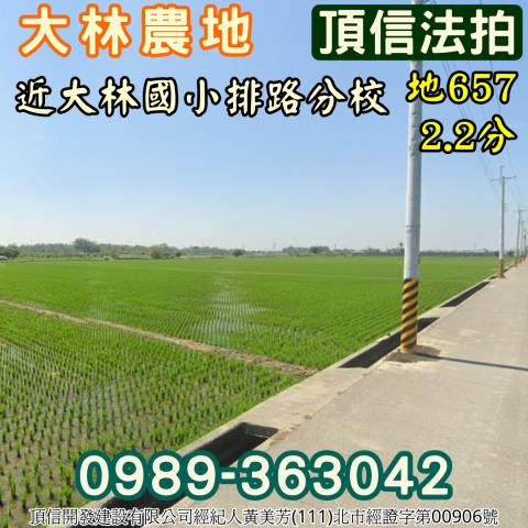 嘉義大林拍賣農地-3