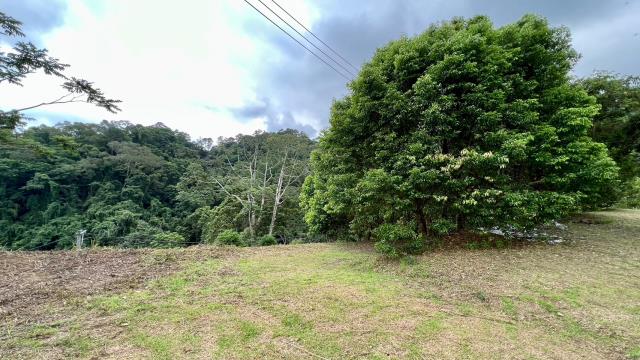 新竹北埔農地-9