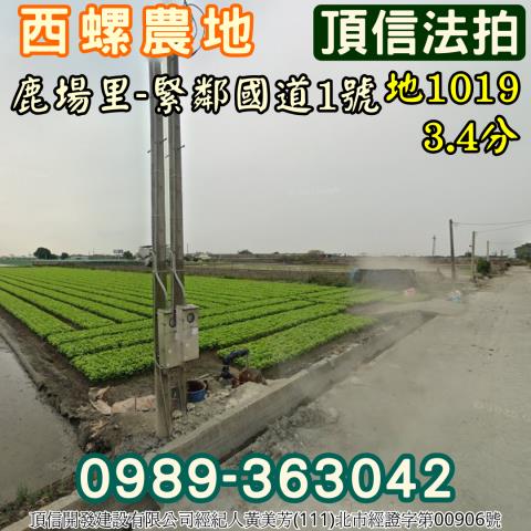 西螺農地拍賣-2