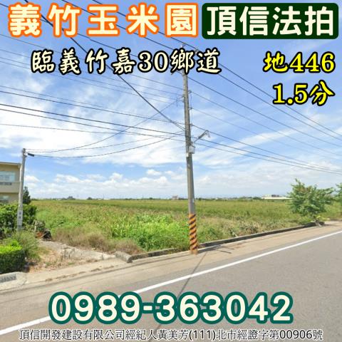 義竹農地法拍-2