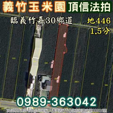 義竹農地法拍-4