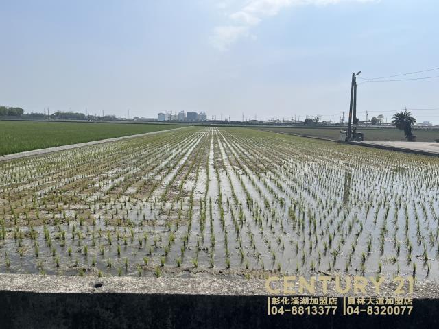 竹塘農地-4