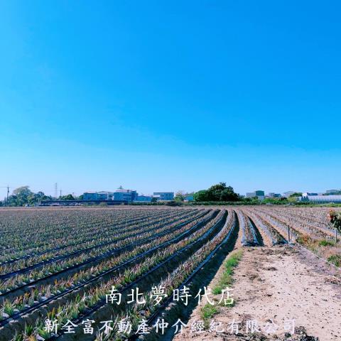 台南農地-6
