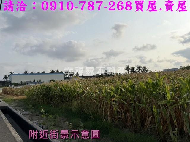 台南安定農地-14