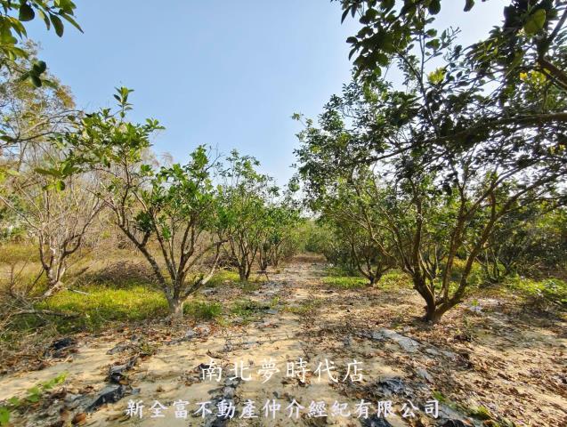 台南左鎮農地-8