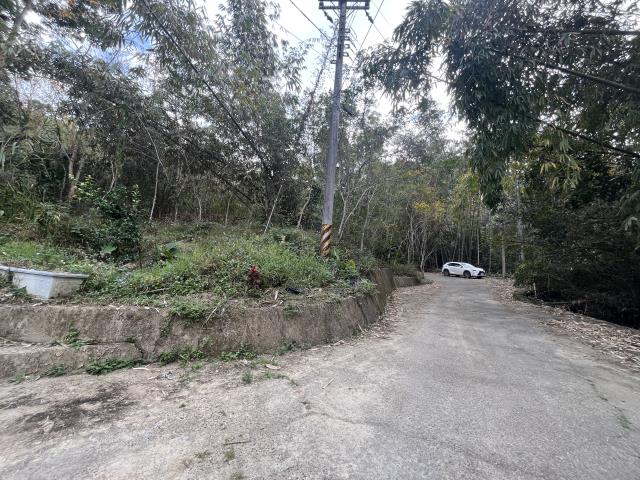 南投鹿谷農地-13