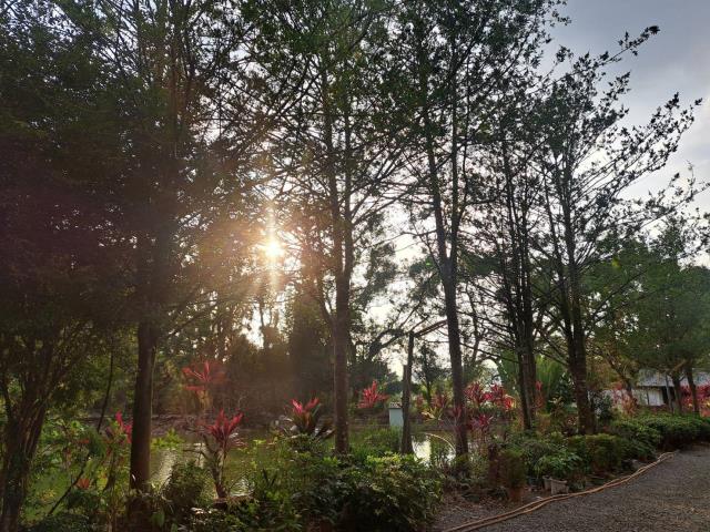 南投竹山農地-10