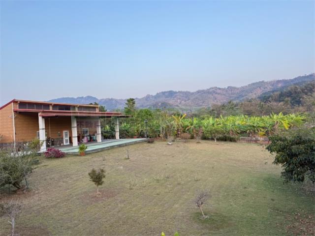 高雄內門農地-3