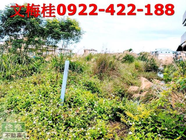 宜蘭宜蘭市農地-5