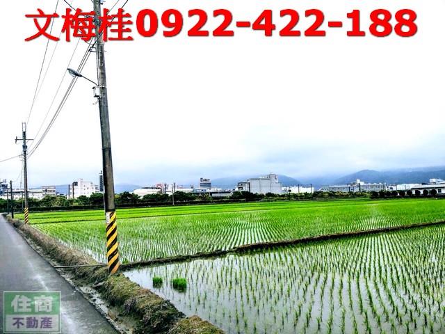 宜蘭宜蘭市農地-6