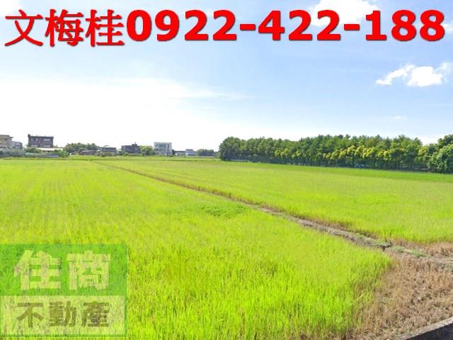 宜蘭礁溪農地-2