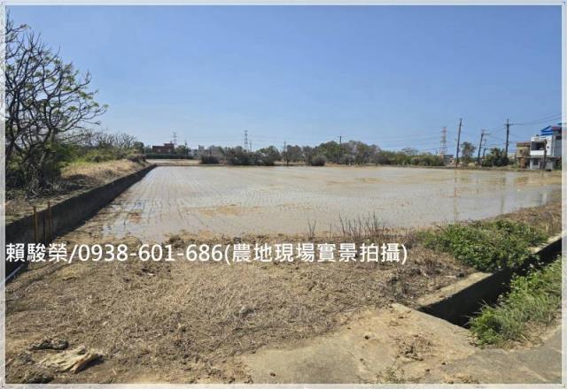 桃園觀音保興路農保田