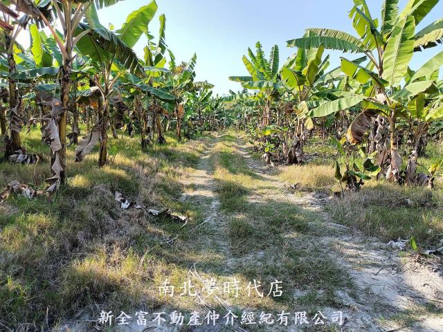 台南農地-1