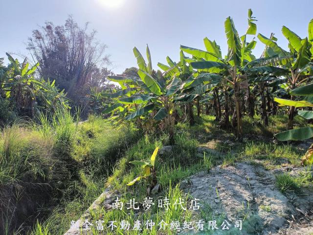 台南農地-8