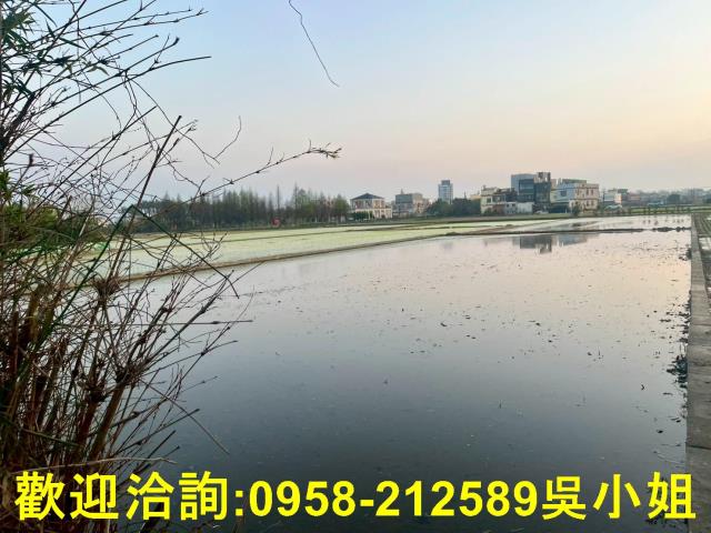 新竹竹北農地-1