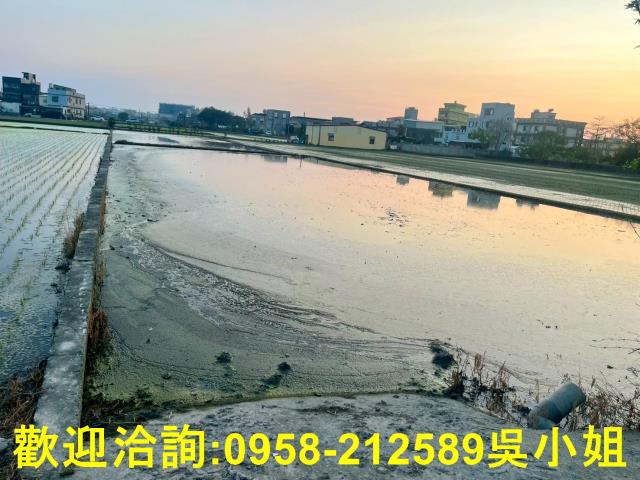 新竹竹北農地-2