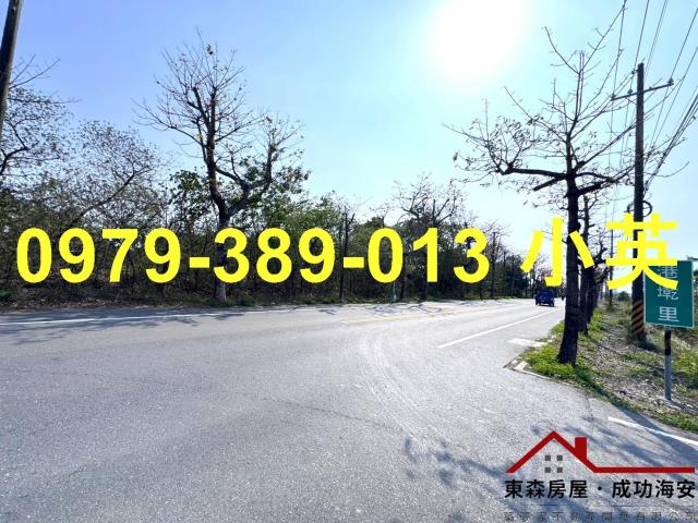 台南新市農地-13