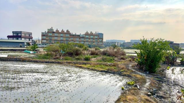 新竹芎林農地-12