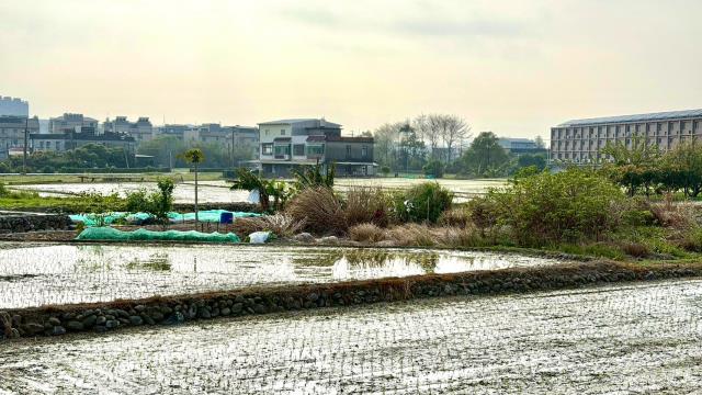 新竹芎林農地-13