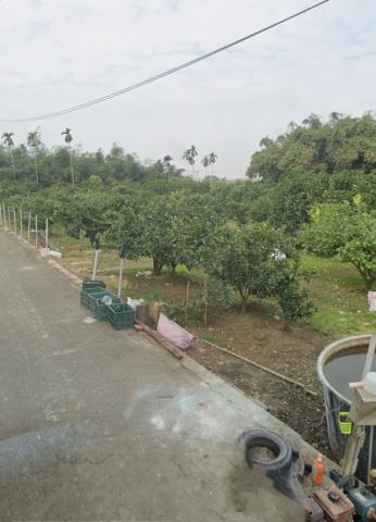 嘉義大林農地法拍-7