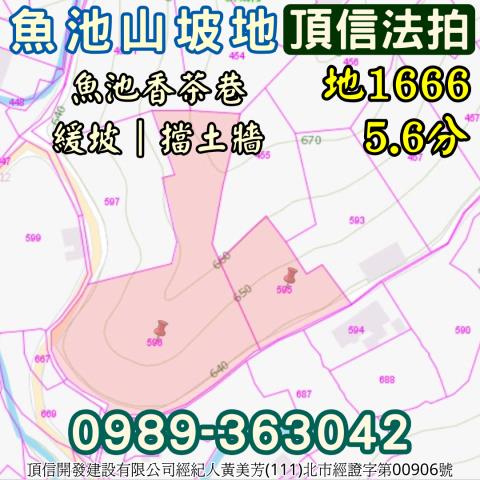 南投魚池法拍農地-6