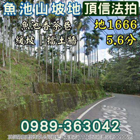 南投魚池法拍農地-1