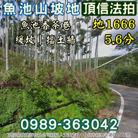 南投魚池法拍農地-4