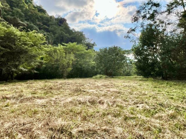 南投農地-4
