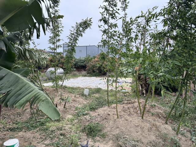 台南農地-1