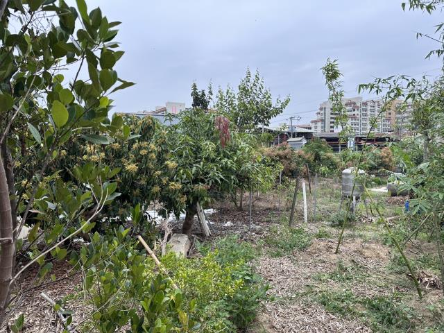 台南農地-5