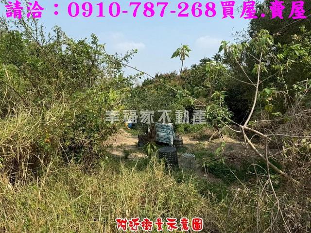 台南新市農地-4