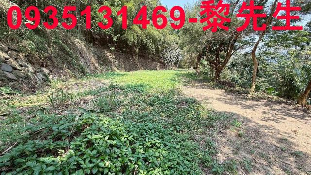 關西農地-12