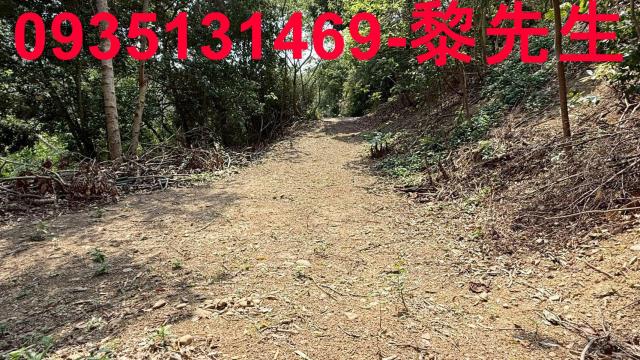 關西農地-4