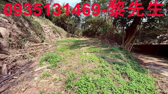 關西農地-6
