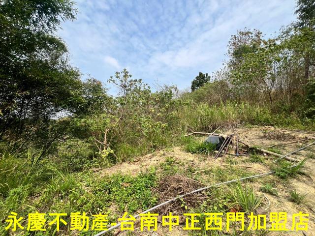 新化農地-10