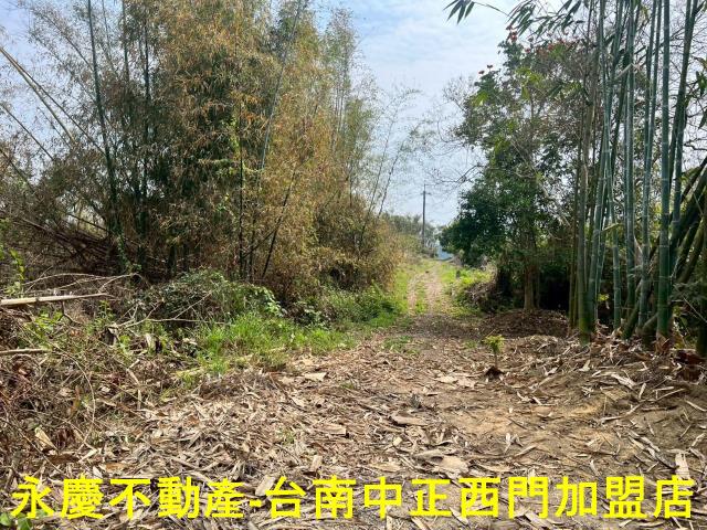 新化農地-1