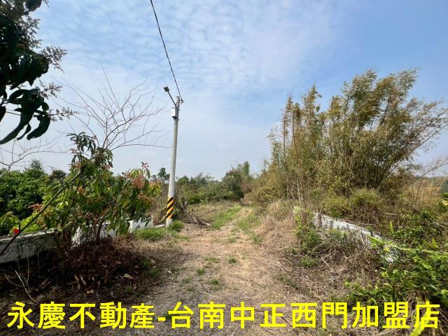 新化農地-3