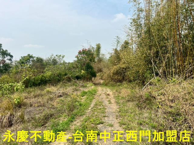 新化農地-4