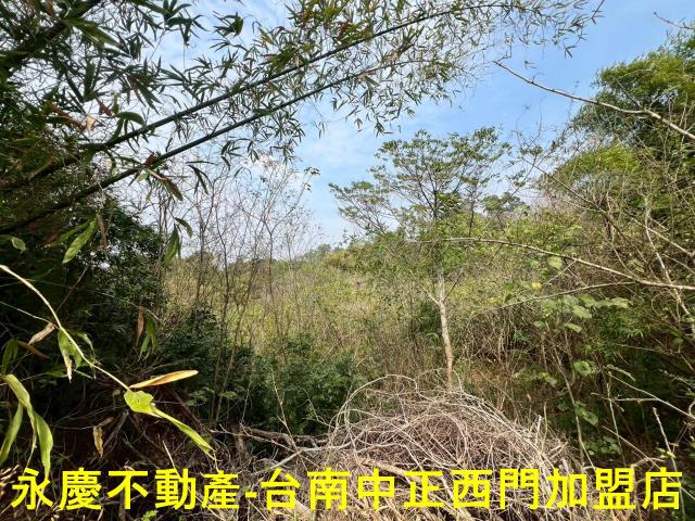 新化農地-7