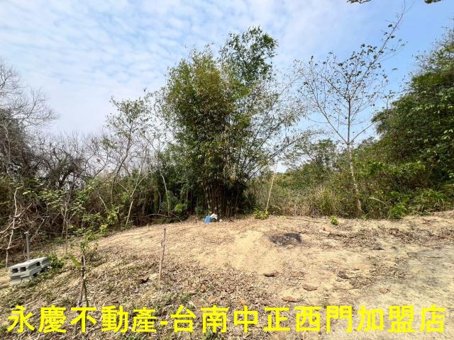 新化農地-8