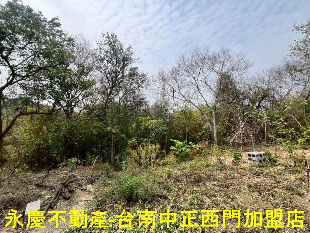 新化農地-9