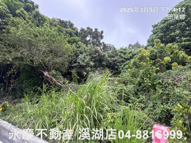 永靖農地-3