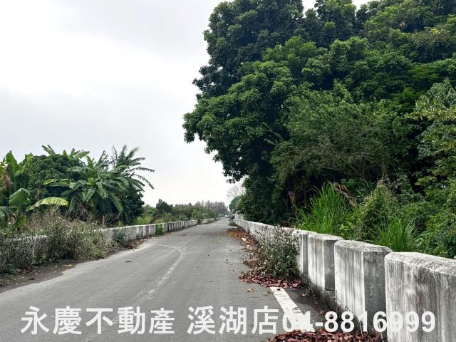 永靖農地-5