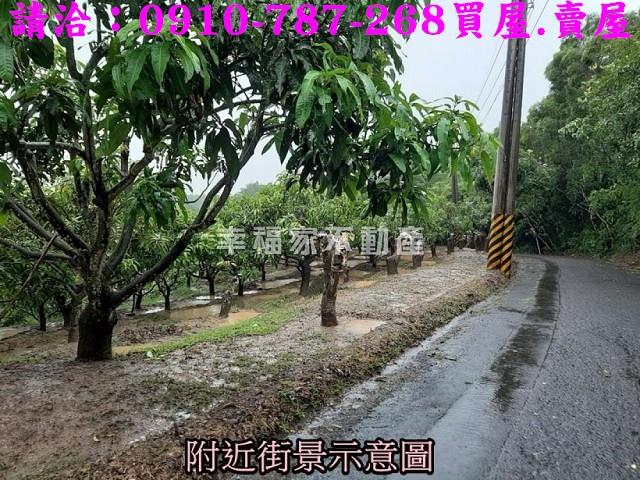 大內農地-10