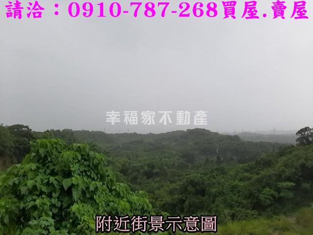 大內農地-8